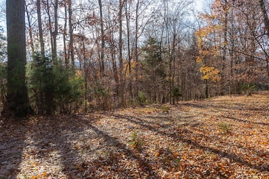 Driveway to Building Site