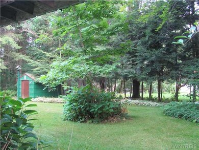 Yard/Garden