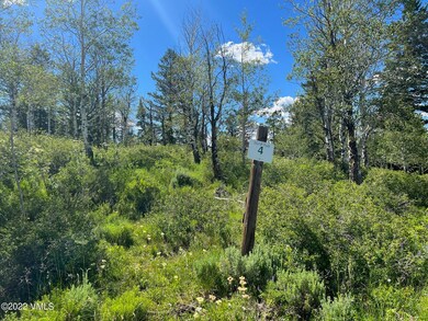 713 Webb Peak