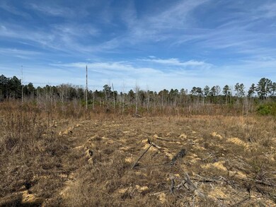 Roebuck Dr, Preston, MS 39354 - photo 5