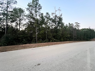 Lot 6 Inscription Ln, Huntsville, TX 77340 - photo 2