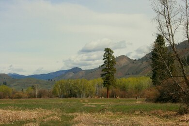 0 Twisp-Winthrop Eastside Rd unit 769143, Twisp, WA 98856 - photo 4