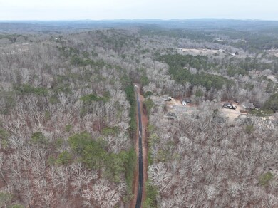 0 Henderson Rd unit 25381724, Odenville, AL 35120 - photo 7