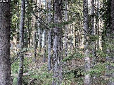 59744 Rommel Ln, Weston, OR 97886 - photo 2