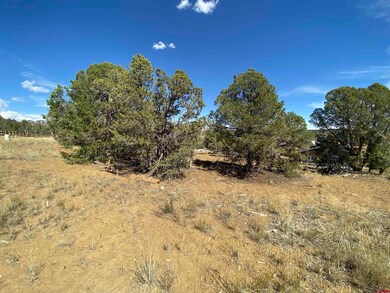 15 Salt Brush St, Durango, CO 81301 - photo 7