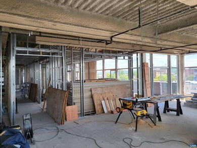 218 W Water St unit 703, Charlottesville, VA 22902 - photo 7