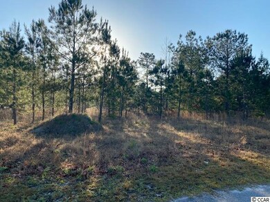 21.88 Acs Pebble Ln, Conway, SC 29526 - photo 2