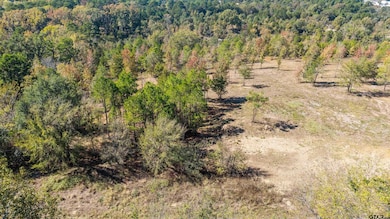 TBD County Road 4112 Lot 3, Lindale, TX 75771 - photo 3