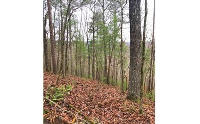 L1719 Rebekah Ridge Rd, Talking Rock, GA 30175 - photo 4