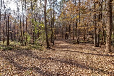 0 Highway 85 unit 224658, Waverly Hall, GA 31831 - photo 7