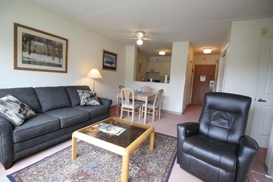 28 Packards Rd unit 537, Waterville Valley, NH 03215 - photo 5