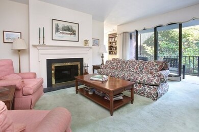 Wellesley Green Condominiums unit 202, Wellesley, MA 02482 - photo 7