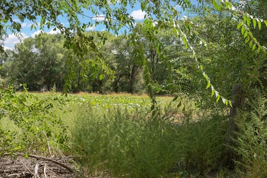 0 Wallace Ln unit 1072617, Corrales, NM 87048 - photo 5