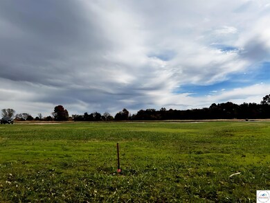 125 SE 315p Rd, Clinton, MO 64735 - photo 3