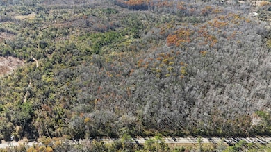 5000 NW Little Cat Rd, Madison, FL 32340 - photo 5