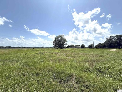 1456 Us Highway 425 S, Baskin, LA 71219 - photo 4