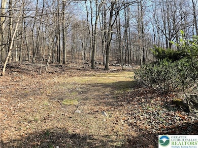 169 Dale Rd, Barto, PA 19504 - photo 6