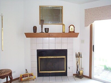 Wood burning Fireplace with Gas Starter