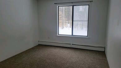 19 Saco St unit 35, Center Conway, NH 03813 - photo 4