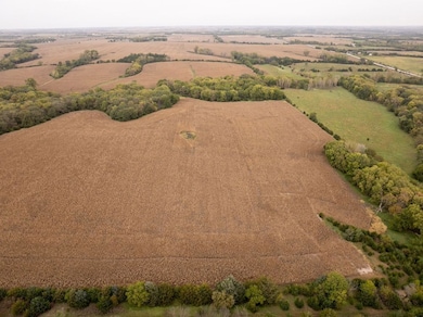 Tbd L Rd, Palmyra, NE 68418 - photo 3