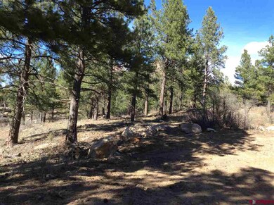 0 Yucca Ct unit 729684, Durango, CO 81301 - photo 5