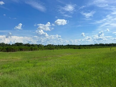 0 Swan Rd, Fitzgerald, GA 31750 - photo 3