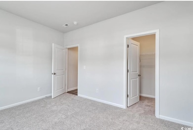 Unfurnished bedroom with a spacious closet, light 