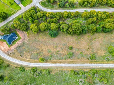 22167 Stanwood Dr, Whitney, TX 76692 - photo 4