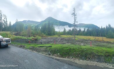 lot_pano