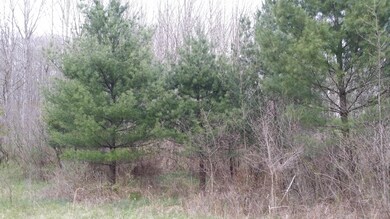 0 Fairview Ridge Rd, Creola, OH 45622 - photo 4