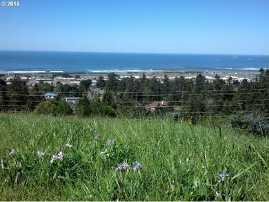 29689 Bear Mountain Rd, Gold Beach, OR 97444 - photo 6