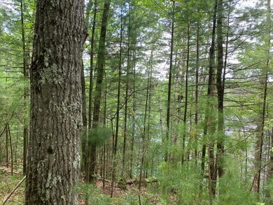 Lot 4 Somo Ridge Dr, Tomahawk, WI 54487 - photo 5