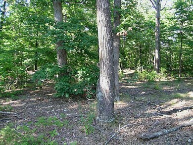 0 0 48ac Eastleigh Place unit 741148, Bella Vista, AR 72714 - photo 2