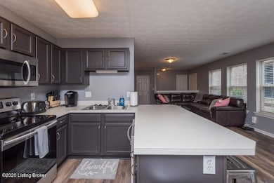 8437 Grand Trevi Dr unit 4603, Louisville, KY 40228 - photo 5