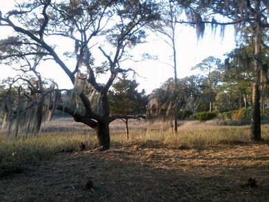 6 Majestic Oaks.jpg