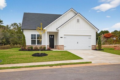 171 Crimson Feather Dr, Jefferson, GA 30549 - photo 3