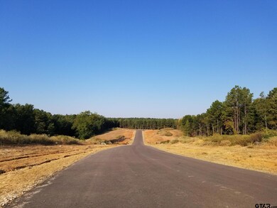 20522 Wild Arrow Ct, Arp, TX 75750 - photo 2