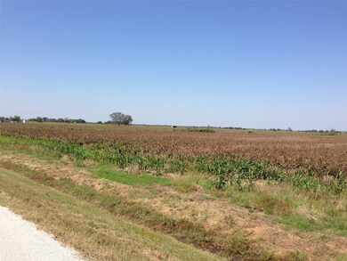 0 Anton Stade Rd, Rosenberg, TX 77471 - photo 4