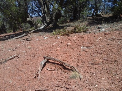 Lot 222a Juniperwood Ranch Unit 2, Ash Fork, AZ 86320 - photo 5