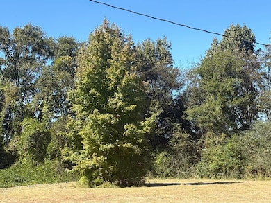 Sanderson Ln, Courtland, AL 35618 - photo 7