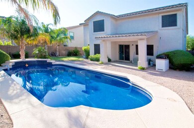 Backyard Paradise!