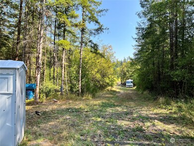 241 Bremgartner Rd, Winlock, WA 98596 - photo 7