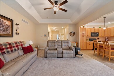 347 Alissa Ln, Canal Fulton, OH 44614 - photo 7