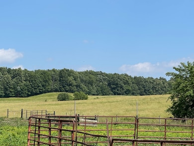 0 1100 N, Buffaloville, IN 47550 - photo 7