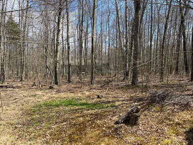 7117 Winnebago Dr, Pocono Lake, PA 18347 - photo 6