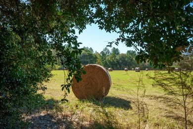 Hay Fields