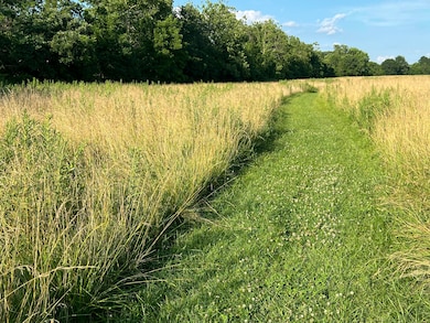 4811 Hwy Mm, Mountain Grove, MO 65711 - photo 4