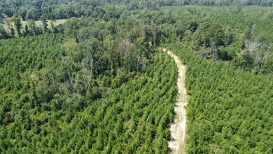 + - 130 Acres unit Simpson County MS, New Hebron, MS 39149 - photo 7