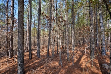 258 Lost Creek Trail, Broken Bow, OK 74728 - photo 6