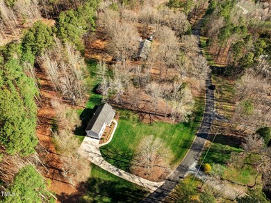drone pic10